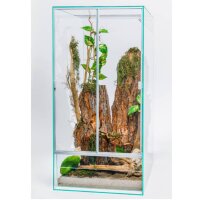 Diversa Hoch-Terrarium aus Glas in 5 Größen