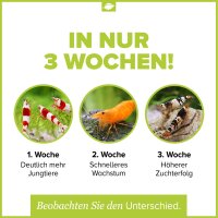 NatureHolic Babyfeed Aufzuchtfutter f&uuml;r Garnelen- 30 g