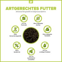 NatureHolic Cambarellusfeed CPO / Zwergkrebsfutter - 30g