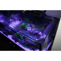 Bananaquarium Schutznetz f&uuml;r Fische