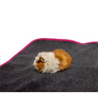 Bunny bunnyBedding Easy Pink