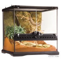 Exo Terra Glas Terrarium 30x30x30 cm