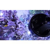 Kessil LED A360X Tuna Blue