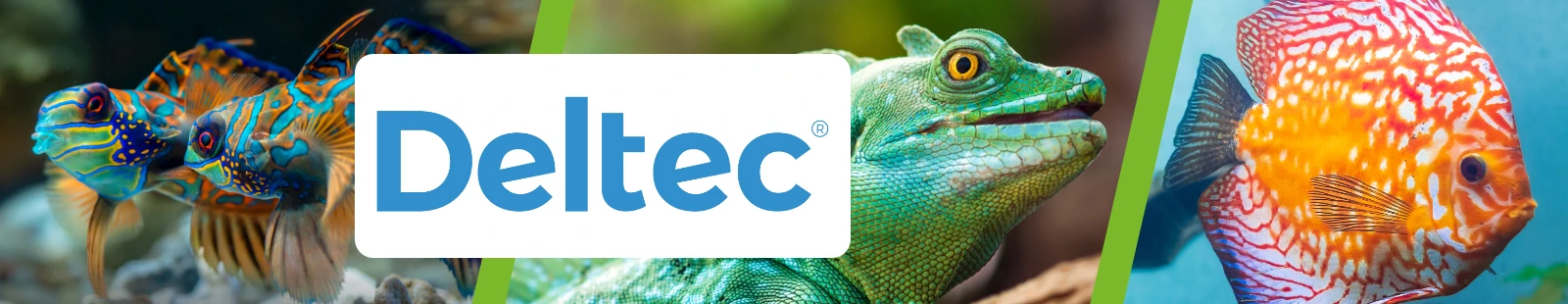 Deltec_Banner.webp