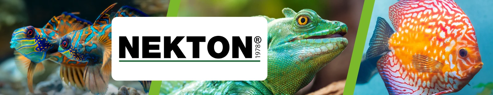 Nekton_banner.webp