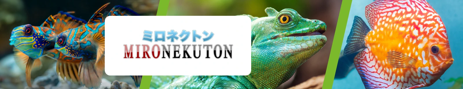 mironekuton_banner.webp